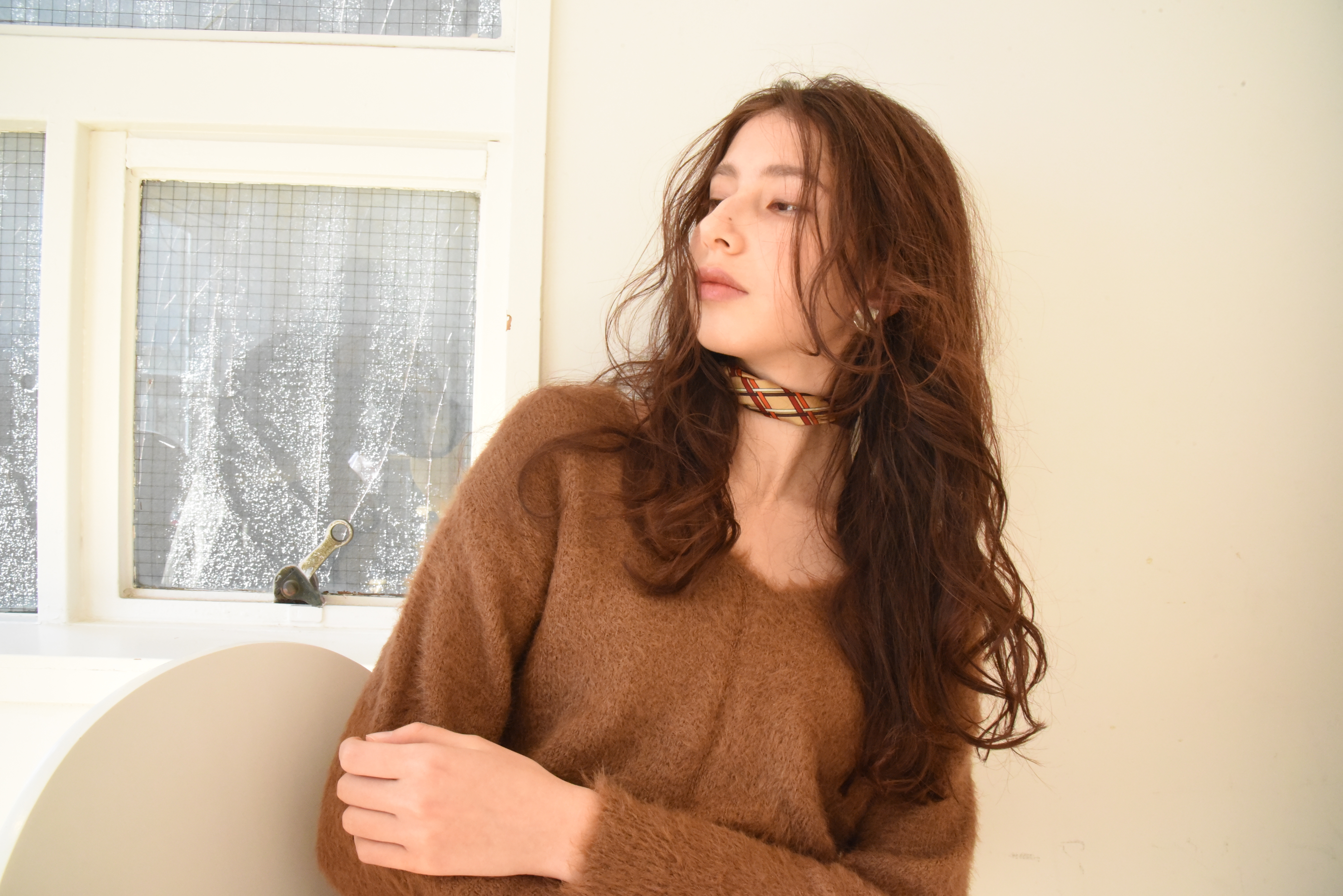 再現性、機能性